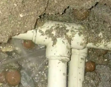 宁都测漏水多少钱