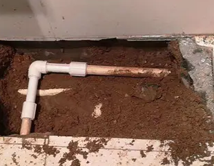 宁都测漏水哪家好