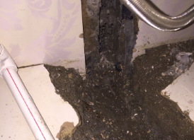 宁都卫生间测漏水哪家好