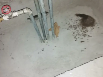 宁都卫生间测漏水价格明细