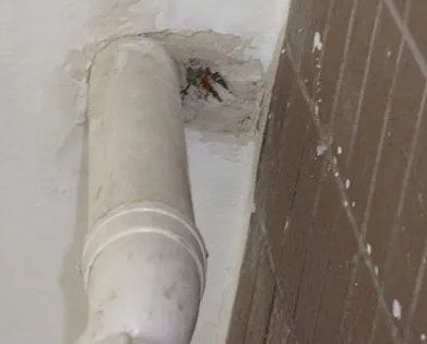 宁都漏水检测哪家好